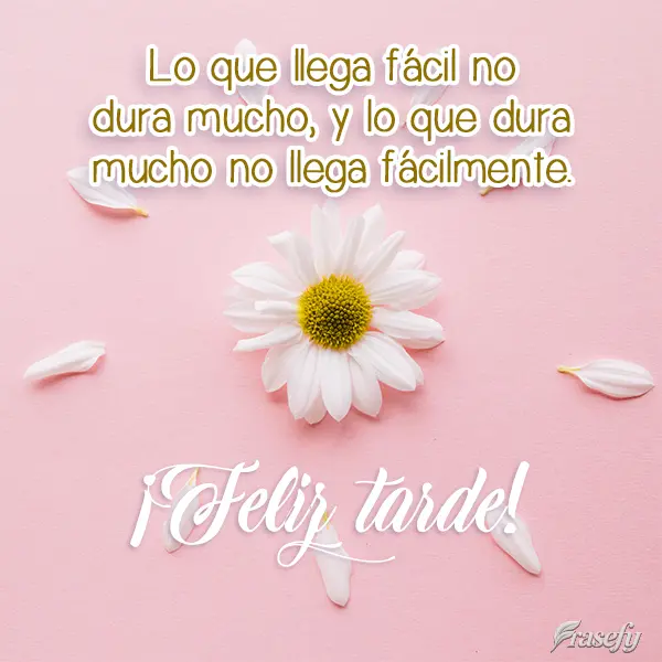 Lo que llega fácil no dura mucho, y lo que dura mucho no llega fácilmente. ¡Feliz tarde!