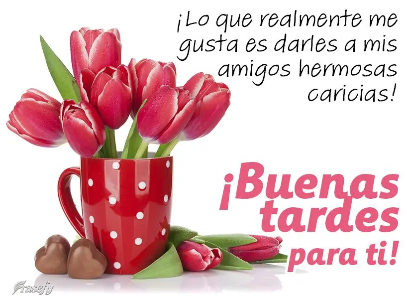 ¡Lo que realmente me gusta es darles a mis amigos hermosas caricias! ¡Buenas tardes para ti!