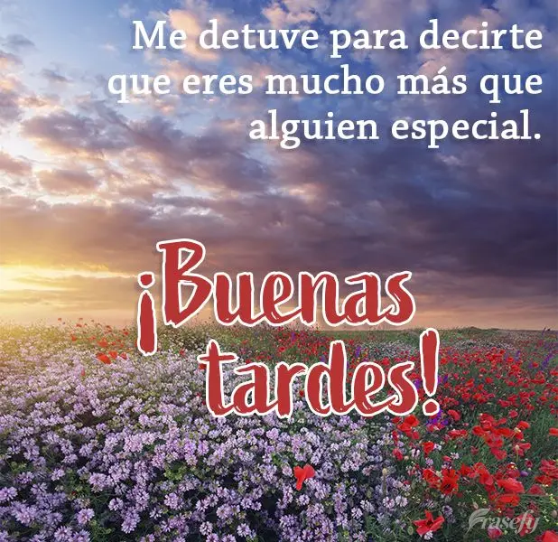 Me detuve para decirte que eres mucho más que alguien especial. ¡Buenas tardes!