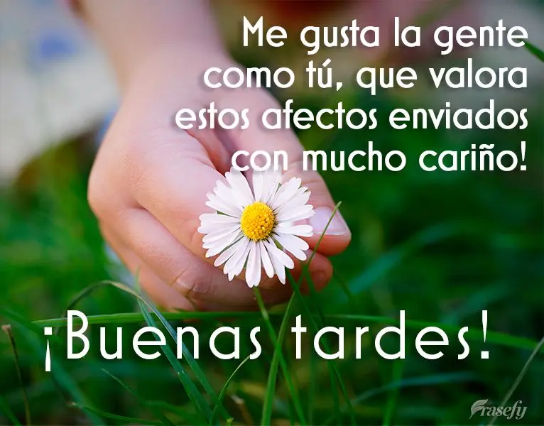 Me gusta la gente como tú, que valora estos afectos enviados con mucho cariño! ¡Buenas tardes!