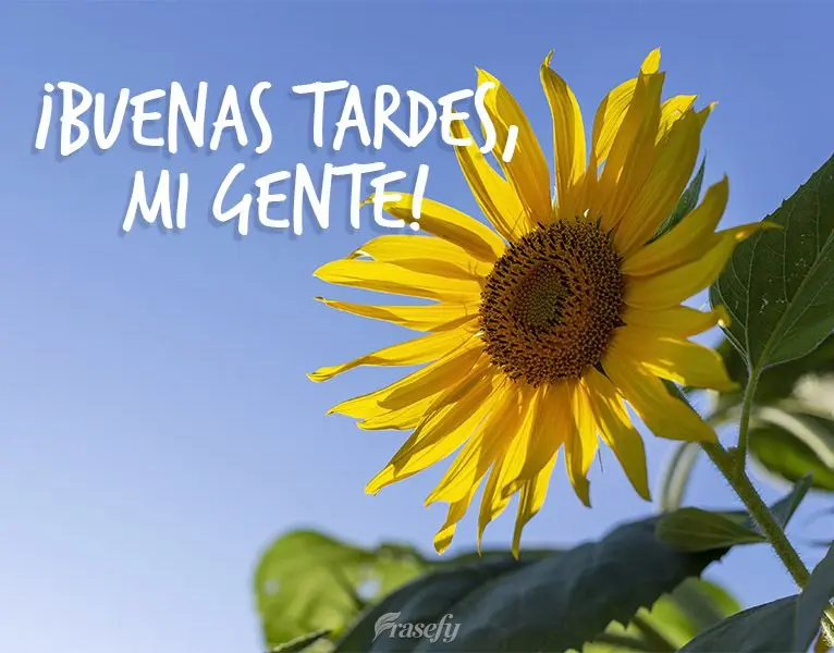 ¡Buenas tardes, mi gente!