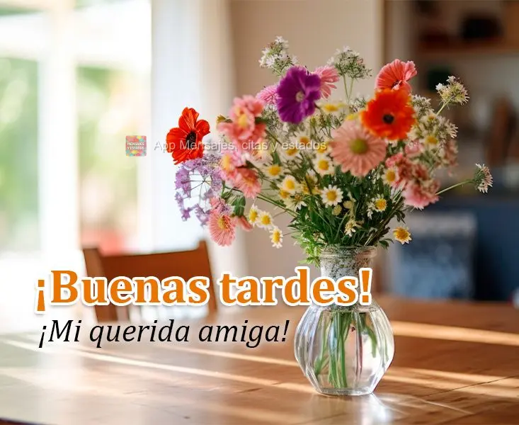 ¡Buenas tardes! ¡Mi querida amiga!