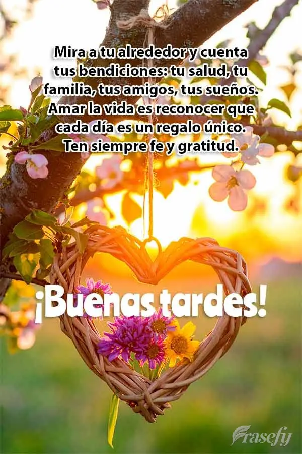 Mira a tu alrededor y cuenta tus bendiciones: tu salud, tu familia, tus amigos, tus sueños. Amar la vida es reconocer que cada día es un regalo único....