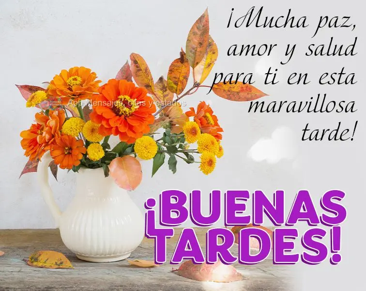 ¡Mucha paz, amor y salud para ti en esta maravillosa tarde! ¡Buenas tardes!