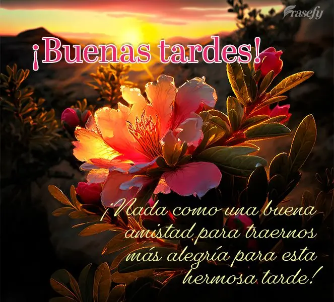 ¡Nada como una buena amistad para traernos más alegría para esta hermosa tarde! ¡Buenas tardes!
