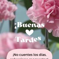 ¡No cuentes los días, colecciona momentos! ¡Buenas tardes!