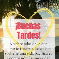 No dependas de lo que no te trae paz. Lo que sostiene una vida pacífica es la compasión, la sinceridad, la honestidad y el cuidado que tienes por quien...