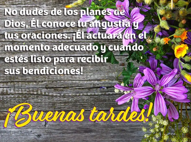No dudes de los planes de Dios, Él conoce tu angustia y tus oraciones. ¡Él actuará en el momento adecuado y cuando estés listo para recibir sus bend...