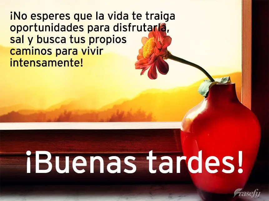 ¡No esperes que la vida te traiga oportunidades para disfrutarla, sal y busca tus propios caminos para vivir intensamente! ¡Buenas tardes!