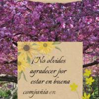 ¡No olvides agradecer por estar en buena compañía en esta agradable tarde! ¡Buenas tardes!