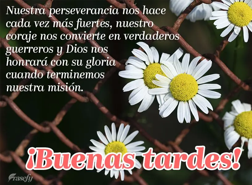 Nuestra perseverancia nos hace cada vez más fuertes, nuestro coraje nos convierte en verdaderos guerreros y Dios nos honrará con su gloria cuando termi...