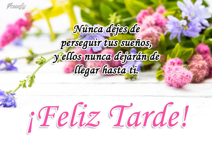 Nunca dejes de perseguir tus sueños, y ellos nunca dejarán de llegar hasta ti. ¡Feliz tarde!