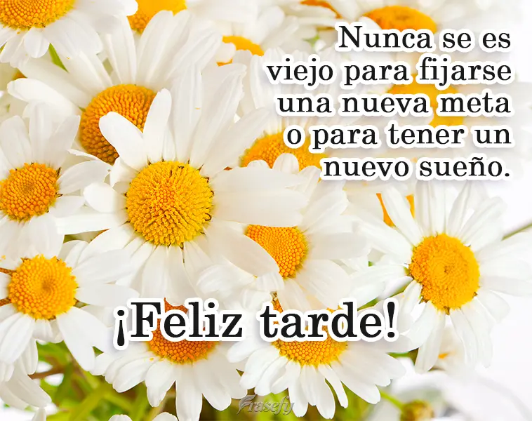 Nunca se es viejo para fijarse una nueva meta o para tener un nuevo sueño. ¡Feliz tarde!