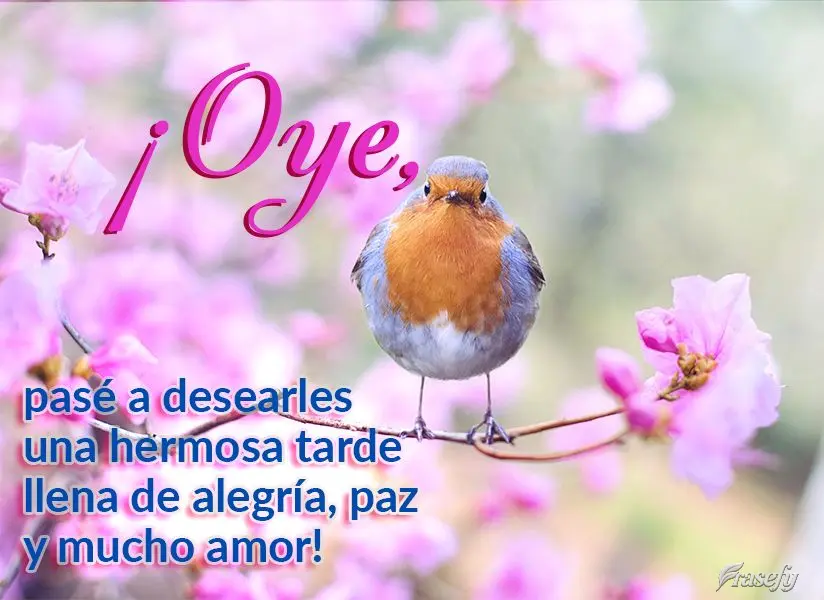 ¡Oye, pasé a desearles una hermosa tarde llena de alegría, paz y mucho amor!