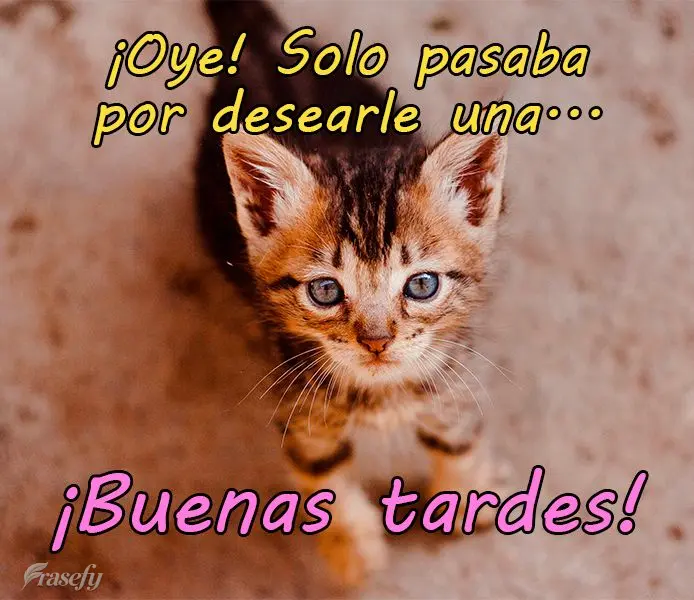 ¡Oye! Solo pasaba para desearle una...  ¡Buenas tardes!