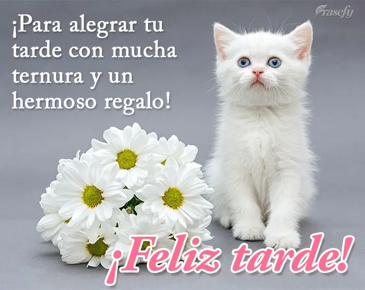 ¡Para alegrar tu tarde con mucha ternura y un hermoso regalo! ¡Feliz tarde!