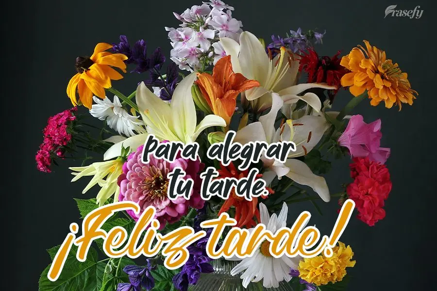 Para alegrar tu tarde. ¡Feliz tarde!