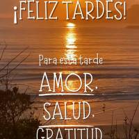 Para esta tarde amor, salud, gratitud y muchas bendiciones! ¡Feliz tardes!