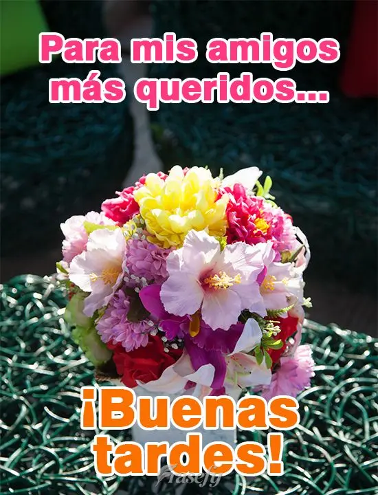 Para mis amigos más queridos ... ¡Buenas tardes!