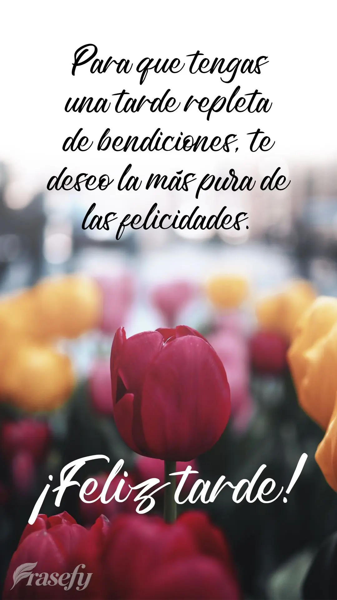 Para que tengas una tarde repleta de bendiciones, te deseo la más pura de las felicidades. ¡Feliz tarde!