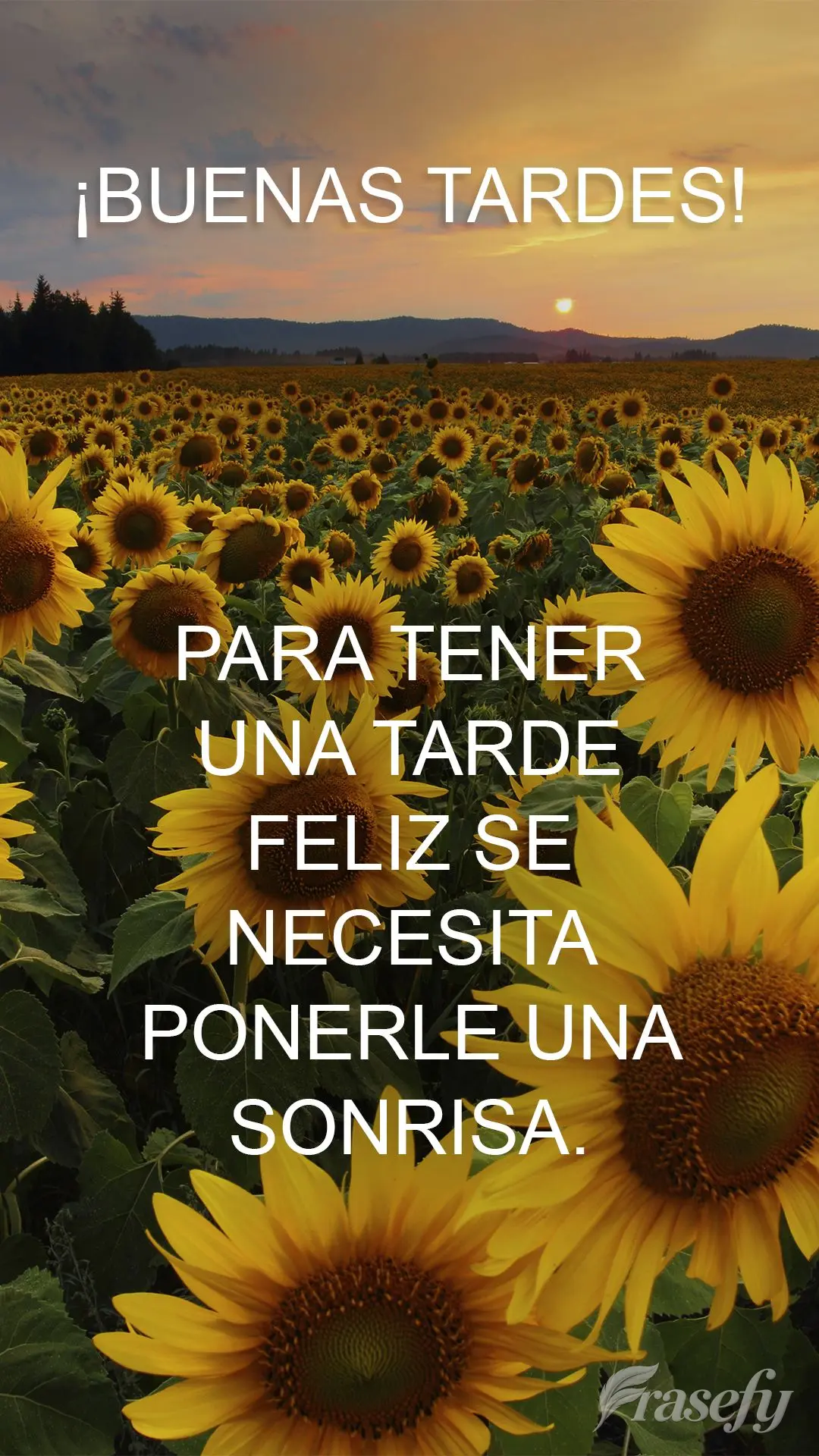 Para tener una tarde feliz se necesita ponerle una sonrisa. ¡Buenas tardes!
