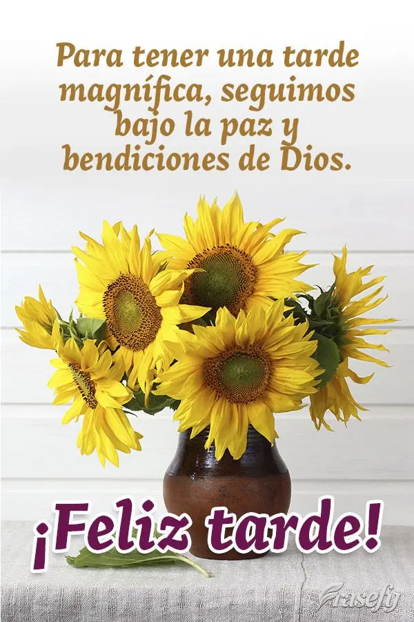 Para tener una tarde magnífica, seguimos bajo la paz y bendiciones de Dios. ¡Feliz tarde!