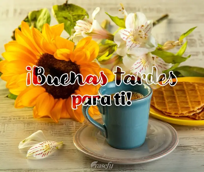 ¡Buenas tardes para ti!