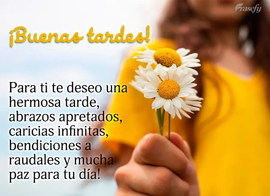 Para ti te deseo una hermosa tarde, abrazos apretados, caricias infinitas, bendiciones a raudales y mucha paz para tu día! ¡Buenas tardes!