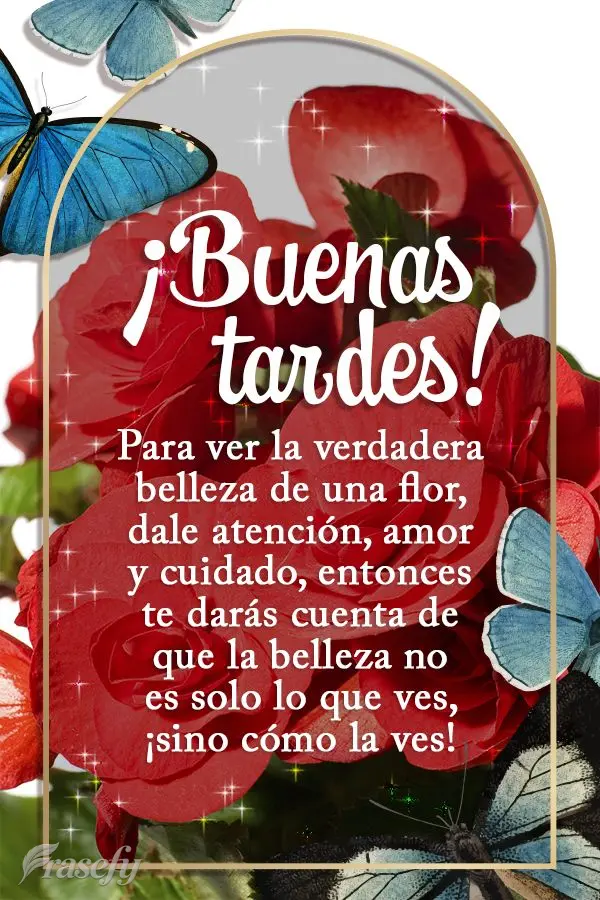 Para ver la verdadera belleza de una flor, dale atención, amor y cuidado, entonces te darás cuenta de que la belleza no es solo lo que ves, ¡sino cóm...