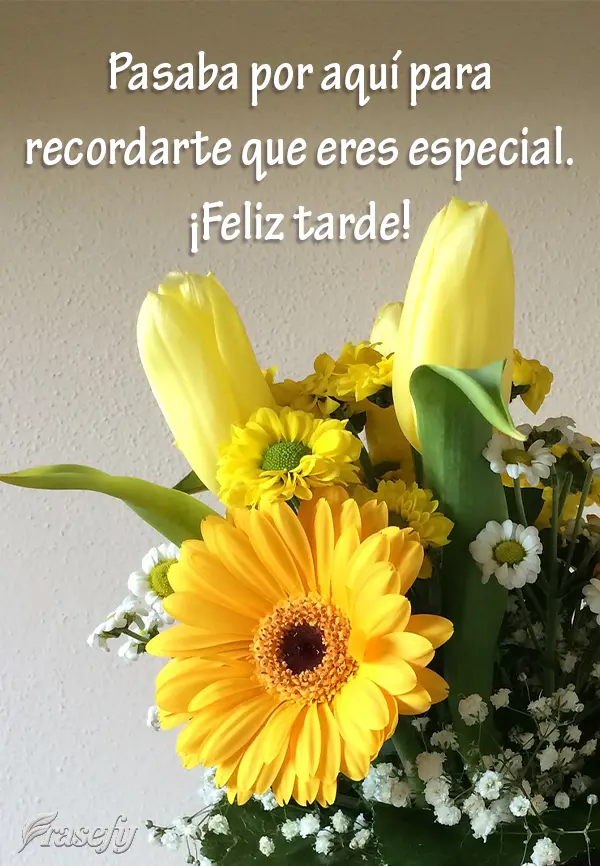 Pasaba por aquí para recordarte que eres especial.  ¡Feliz tarde!