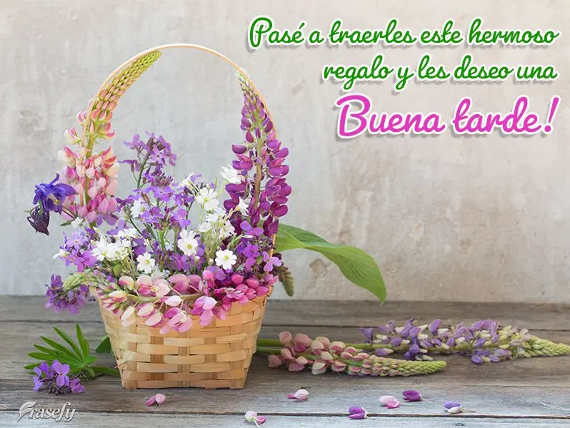 Pasé a traerles este hermoso regalo y les deseo una buena tarde!