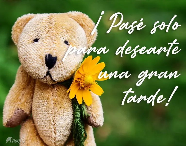 ¡Pasé solo para desearte una gran tarde!