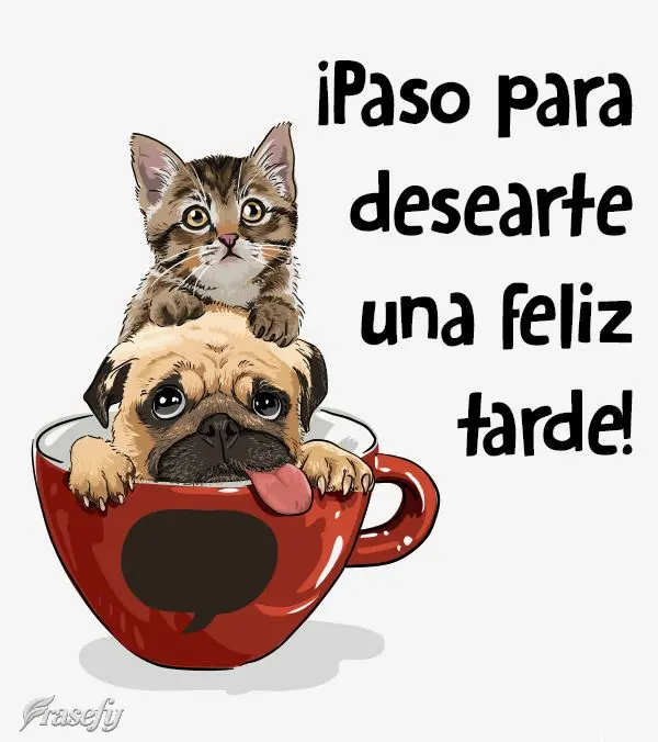 ¡Paso para desearte una feliz tarde!