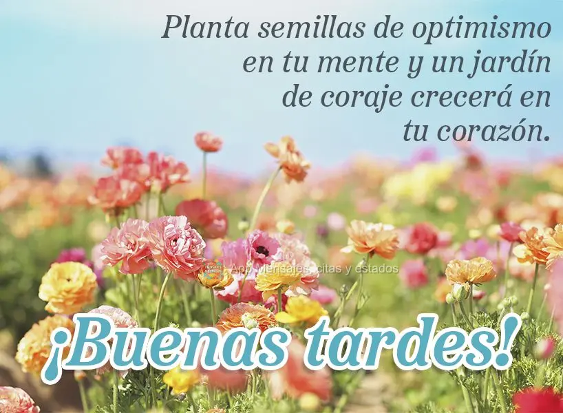 Planta semillas de optimismo en tu mente y un jardín de coraje crecerá en tu corazón. ¡Buenas tardes!