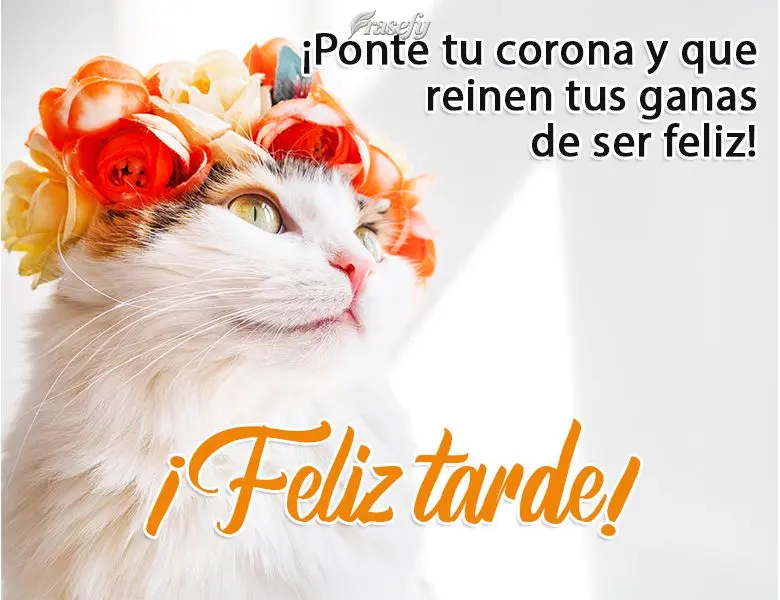 ¡Ponte tu corona y que reinen tus ganas de ser feliz! ¡Feliz tarde!