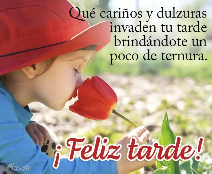 Qué cariños y dulzuras invaden tu tarde brindándote un poco de ternura. ¡Feliz tarde!