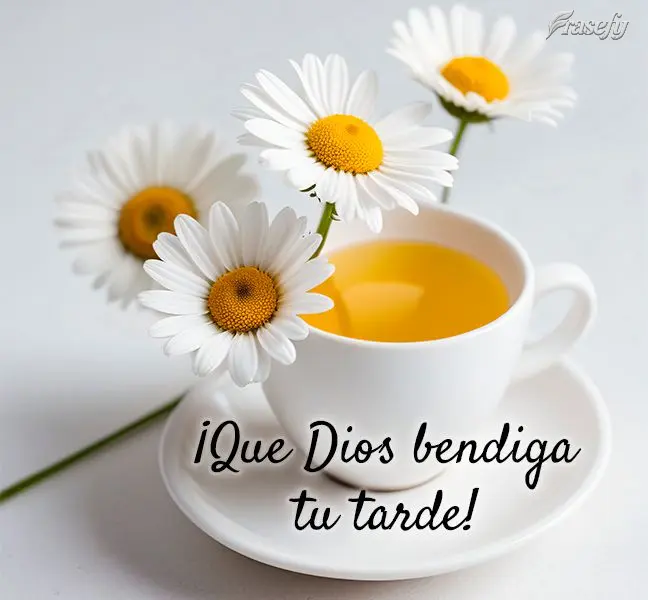 ¡Que Dios bendiga tu tarde!