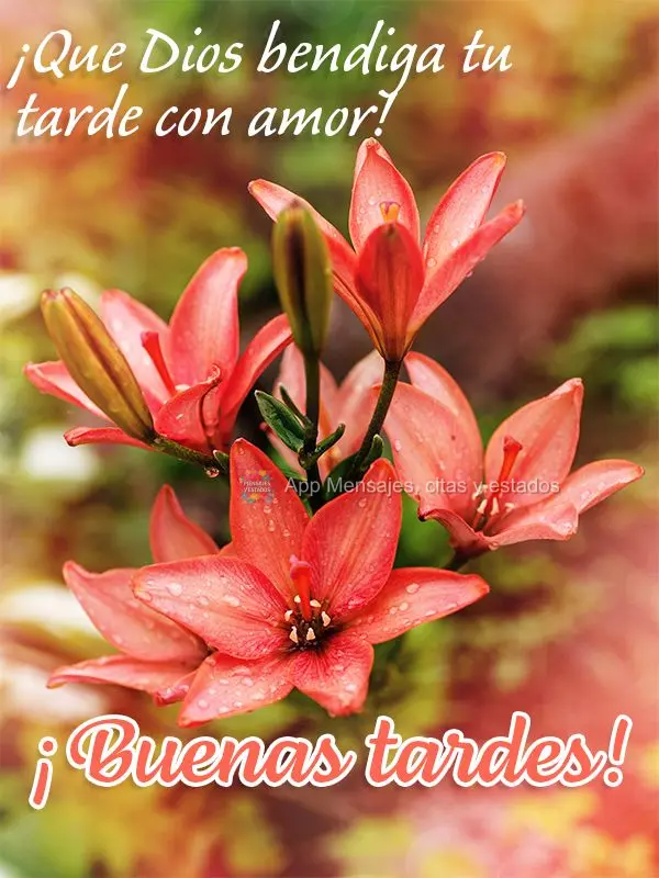 ¡Que Dios bendiga tu tarde con amor! ¡Buenas tardes!