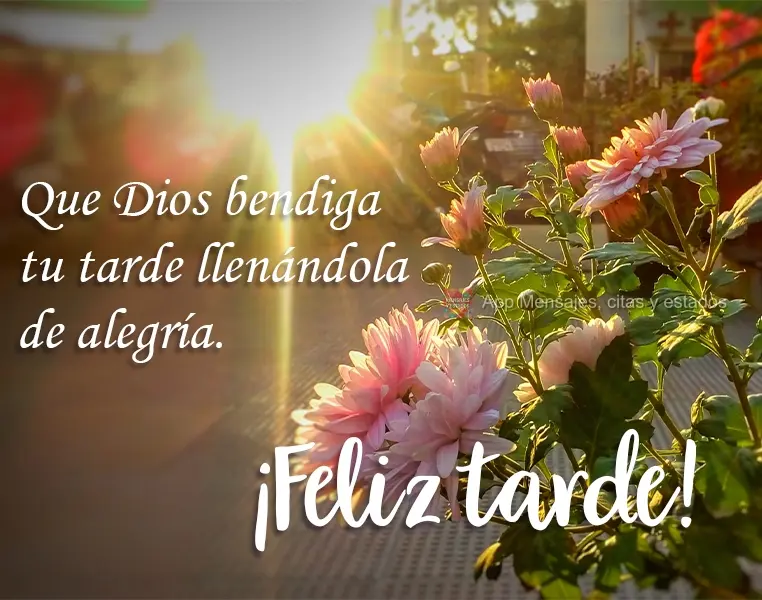 Que Dios bendiga tu tarde llenándola de alegría. ¡Feliz tarde!