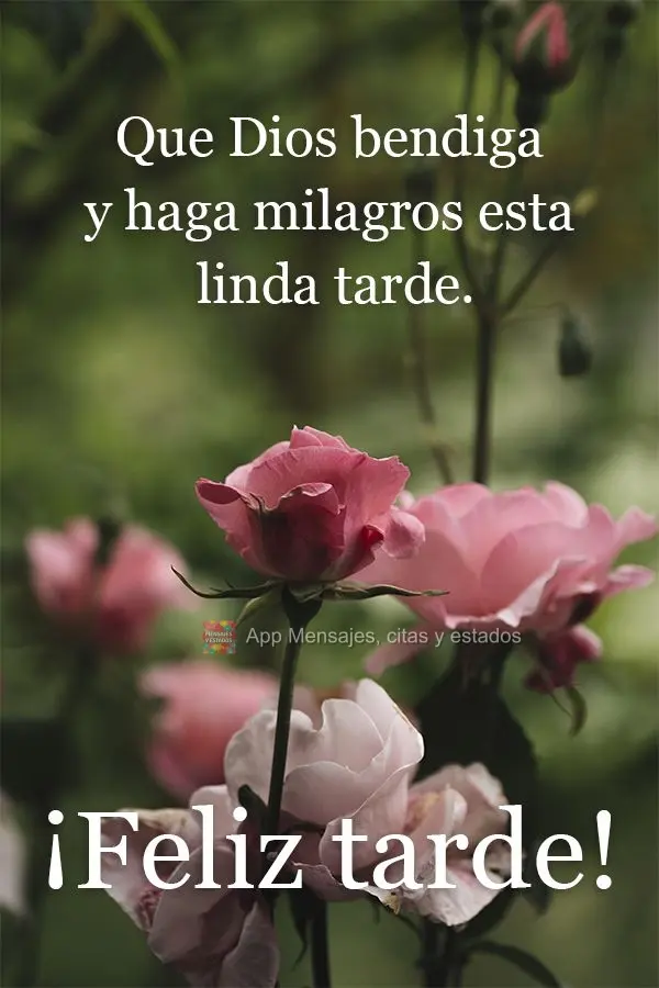 Que Dios bendiga y haga milagros esta linda tarde. ¡Feliz tarde!