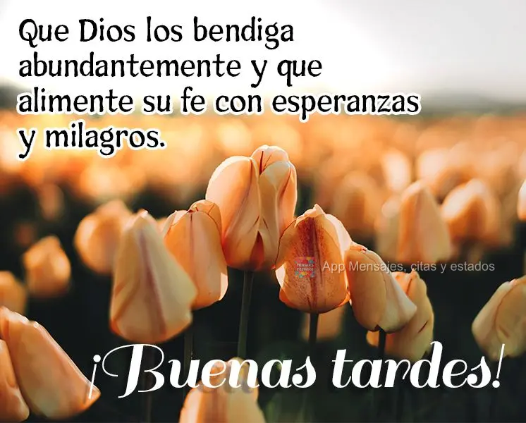 Que Dios los bendiga abundantemente y que alimente su fe con esperanzas y milagros. ¡Buenas tardes!