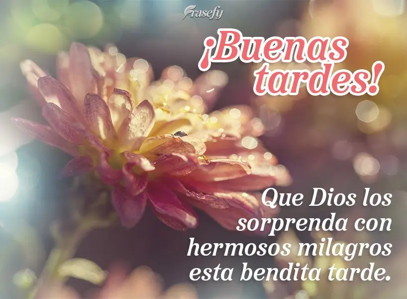 Que Dios los sorprenda con hermosos milagros esta bendita tarde. ¡Buenas tardes!
