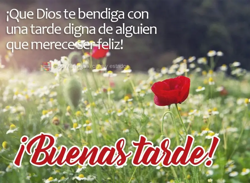 ¡Que Dios te bendiga con una tarde digna de alguien que merece ser feliz! ¡Buenas tarde!