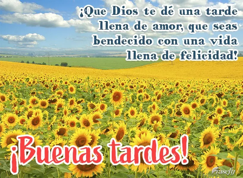 ¡Que Dios te dé una tarde llena de amor, que seas bendecido con una vida llena de felicidad! ¡Buenas tardes!