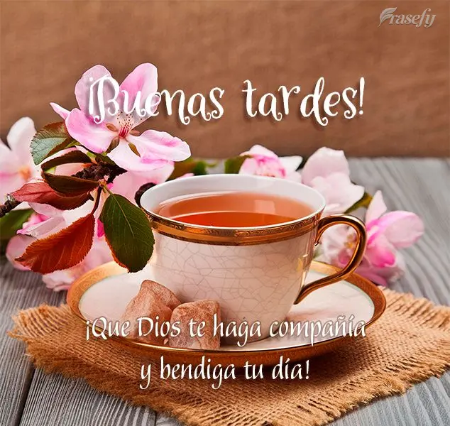 ¡Que Dios te haga compañía y bendiga tu día! ¡Buenas tardes!