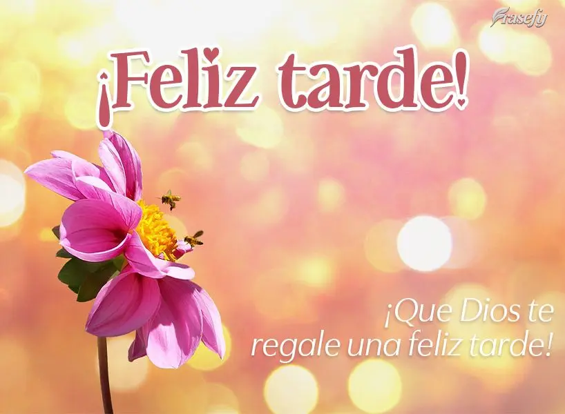 ¡Que Dios te regale una feliz tarde! ¡Feliz tarde!