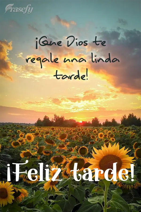 ¡Que Dios te regale una linda tarde! ¡Feliz tarde!