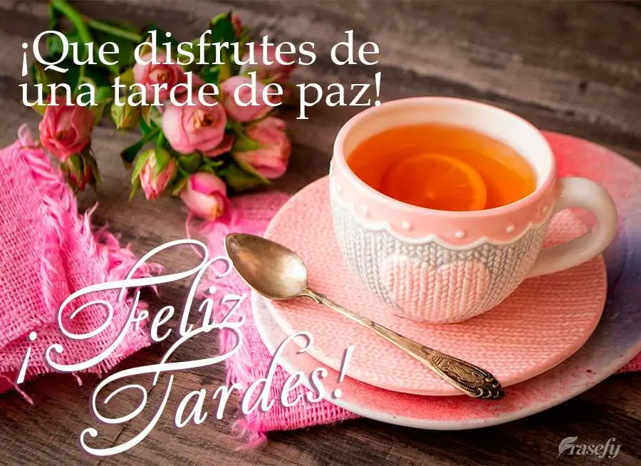 ¡Que disfrutes de una tarde de paz! ¡Felez  tardes!