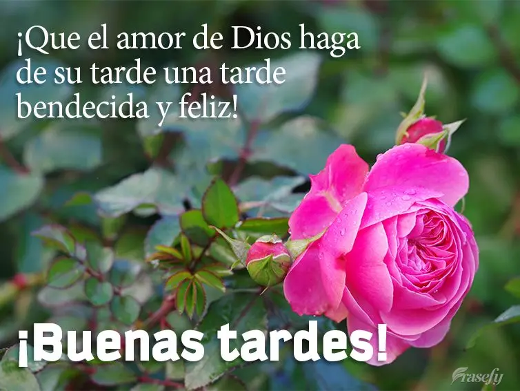 ¡Que el amor de Dios haga de su tarde una tarde bendecida y feliz! ¡Buenas tardes!