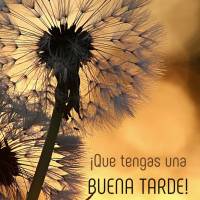 ¡Que el amor de Dios prevalezca en esta tarde maravillosa y entre en tu corazón con los sentimientos más hermosos que puedas recibir! ¡Que tengas una...